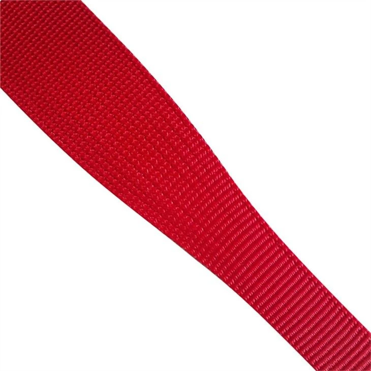 Nylon dog leash